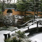 japanese_garden.jpg