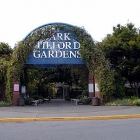 tilford_shopping01.jpg